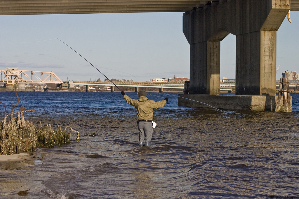 Wade fishing in Jamaica Bay Kenjo Fly Fishing Charters