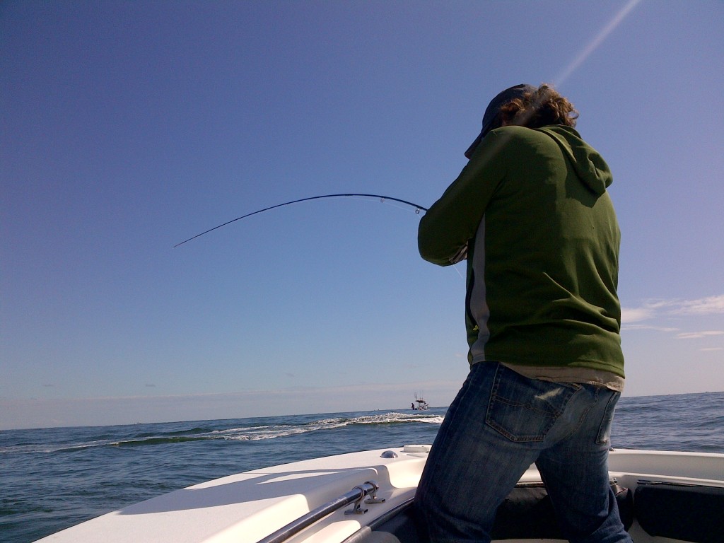 Little Tunny on an 8wt Sage 8wt at work