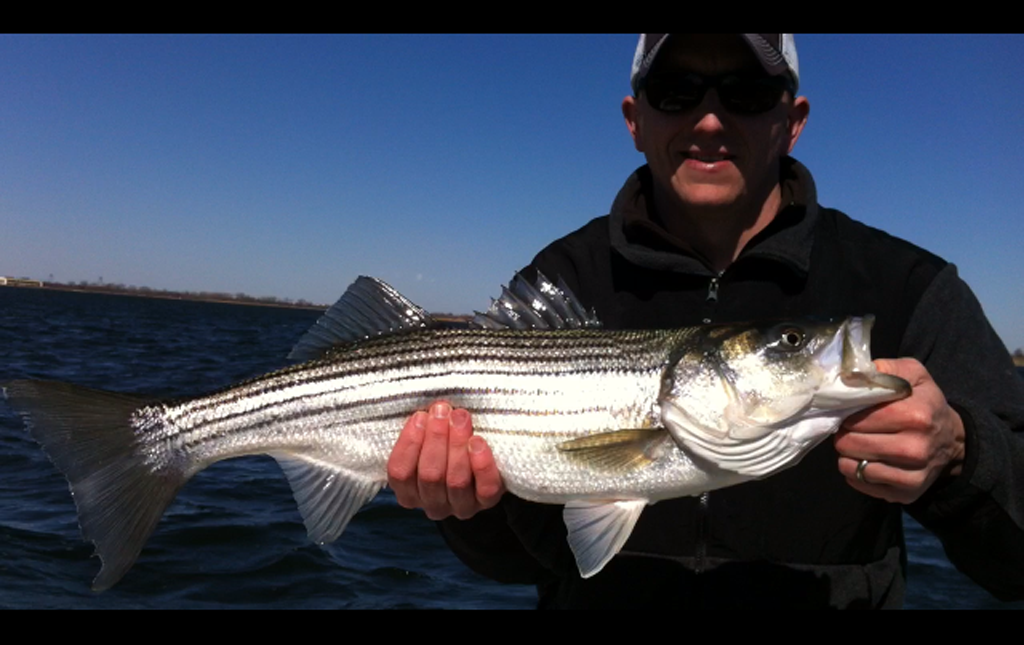 Grunts heard around Jamaica Bay Kenjo Fly Fishing Charters