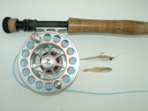 Bay Anchovy Clouser Minnow Comparison Close but not close enough