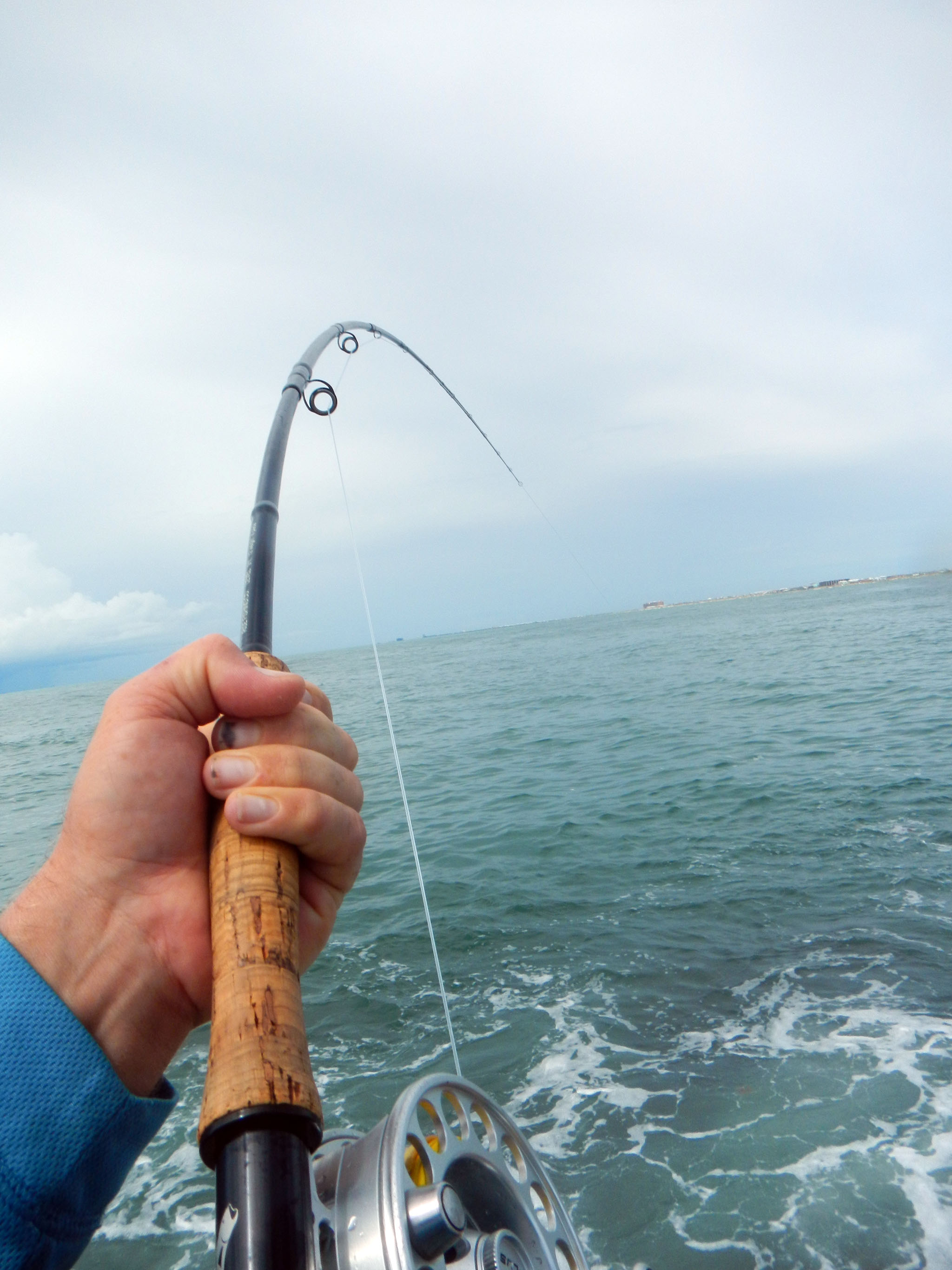 Gulf of Mexico Tarpon Kenjo Fly Fishing Charters