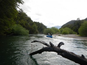 trout streamer flyfishing argentina patagonia river guides prg