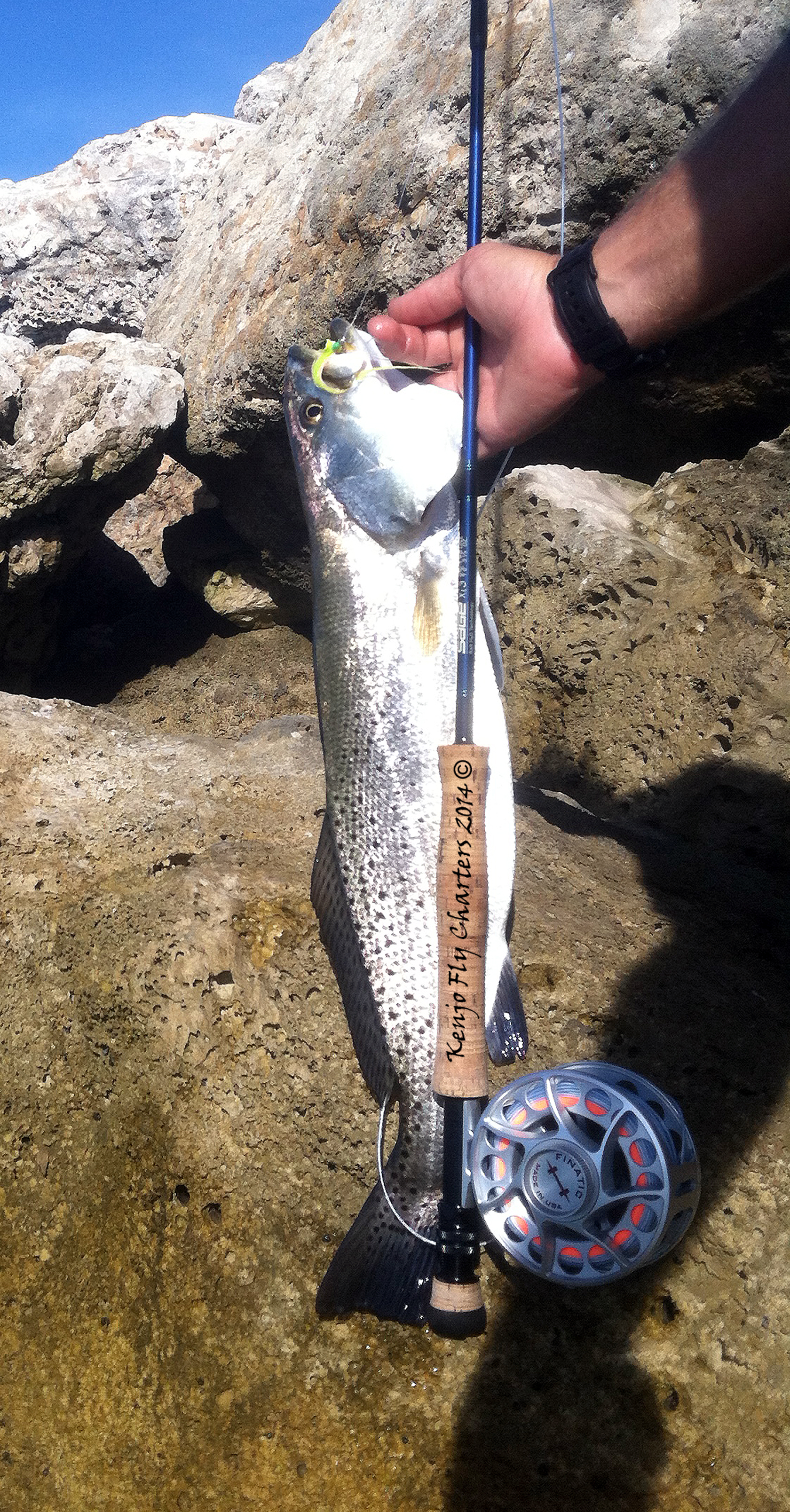 Speckled Trout on Fly Kenjo Fly Fishing Charters