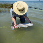redfish, fly, fishing, headshot, mug, port aransas, texas, coastm gulf, flats, guide, charters, corpus, rockport, aransas, Phil Shook