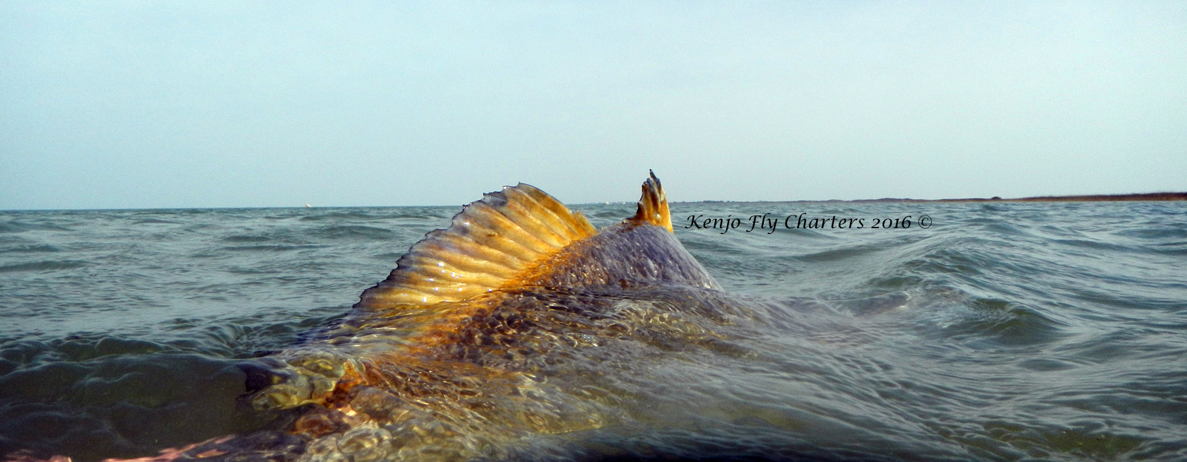 Fly Fishing Texas Gulf Coast Kenjo Fly Fishing Charters