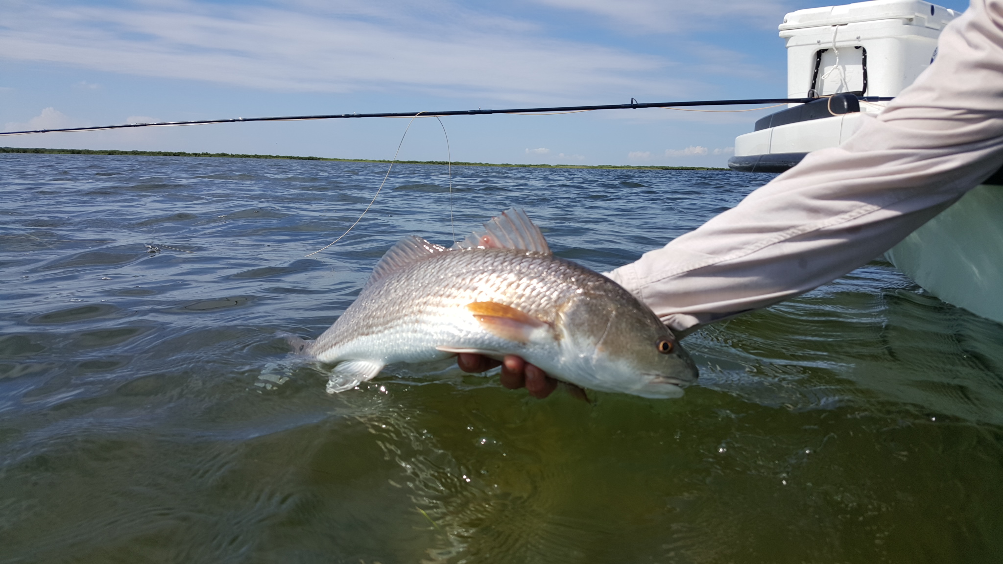 Boot deep Redfishing Kenjo Fly Fishing Charters
