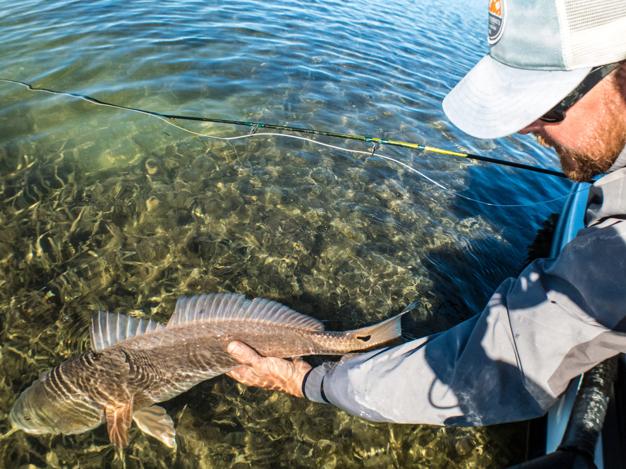 Hot Redfish Kenjo Fly Fishing Charters