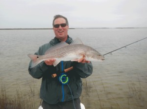 red drum, fly fishing, port, aransas, texas, coast, rockport, corpus christi, redfish, spottail, tail, sight, casting, mangroves, spartina, cord, grass, spring