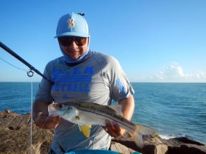 snook, texas, fly, fishing, gulf, mexico,