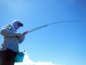 bull redfish on fly