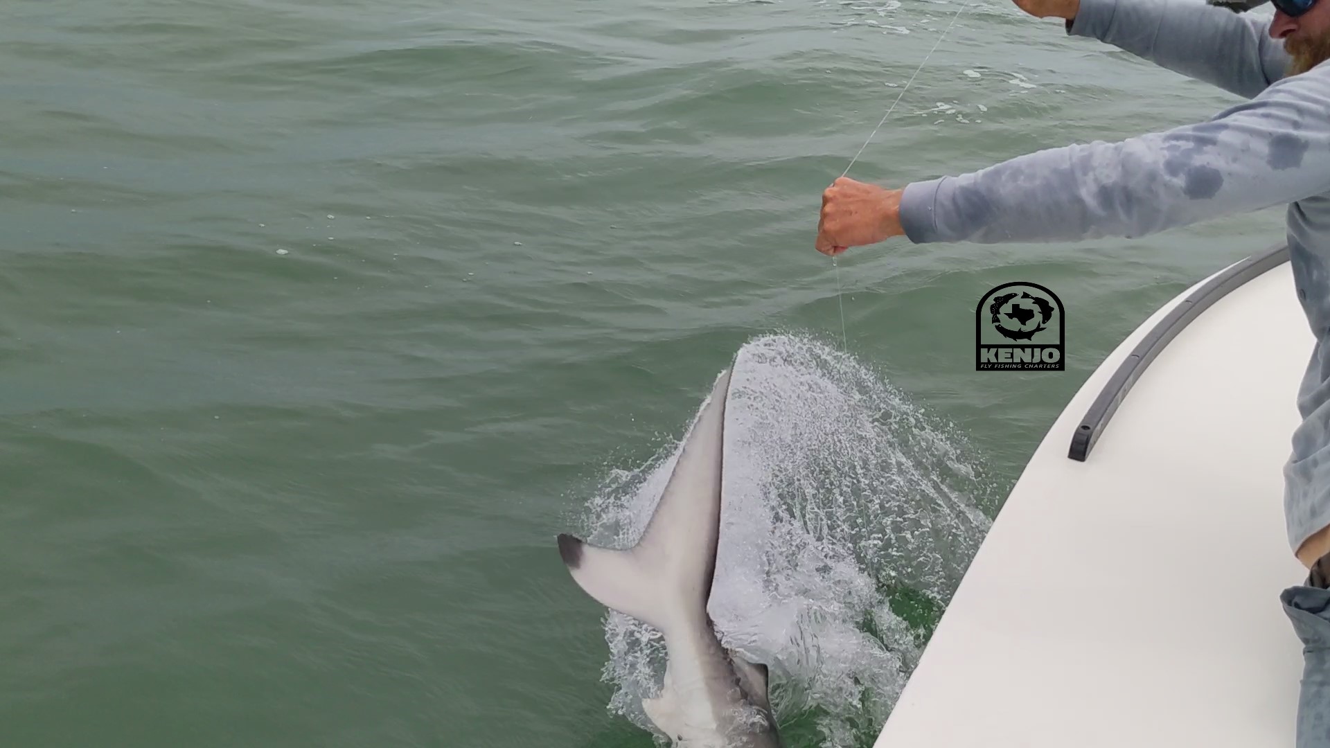 sharks Archives - Kenjo Fly Fishing Charters